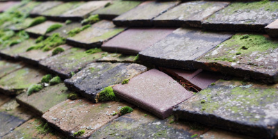 Brickhill roof repair costs